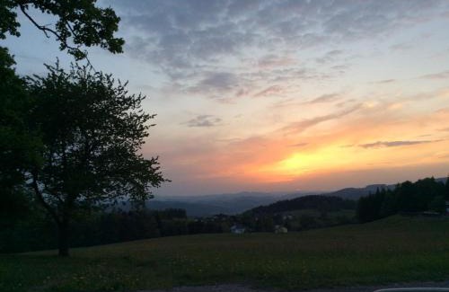 Vorderweißenbach Casa | Ferienbauernhof Koller (Familie Hofer) - Urlaub am Bauernhof