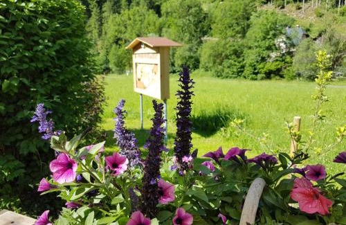 Waldbach-Monichwald Apartamento | Feriendomizil Wetzelberger