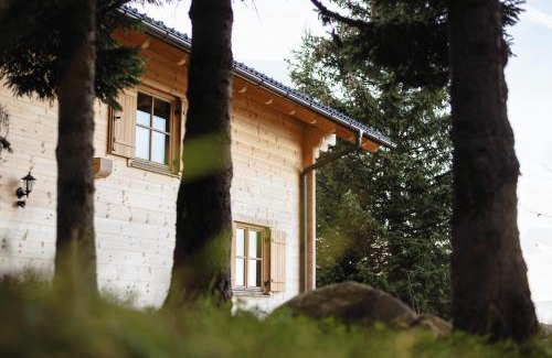 Frantschach-Sankt Gertraud Chalet De Esquí | Feriendorf Koralpe Chalet Arnika XL 28