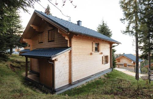 Frantschach-Sankt Gertraud Chalet De Esquí | Feriendorf Koralpe Chalet Arnika XL 28