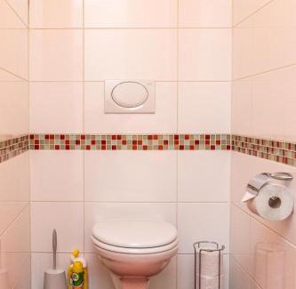 Russbach am Pass Gschuett Apartamento | Ferienhaus Elisabeth
