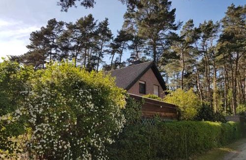 Lubmin Casa | Ferienhaus am Dünenwald - DH