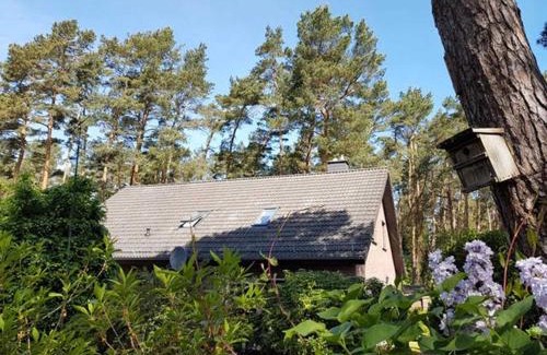 Lubmin Casa | Ferienhaus am Dünenwald - DH