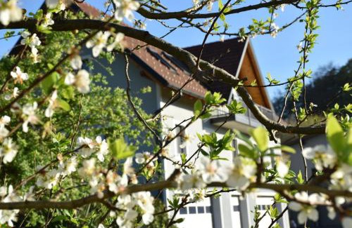 Welten Apartamento | Ferienhaus am Hof Zotter