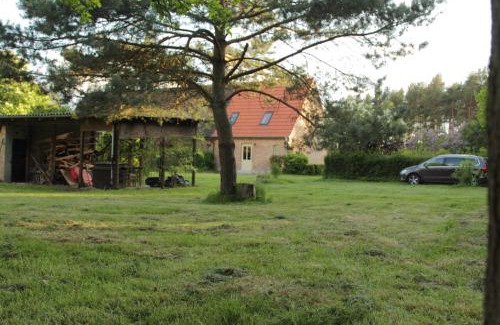 Muritz Apartamento | Ferienhaus Amalienhof