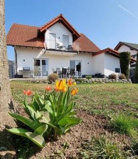 Bendorf Casa | Ferienhaus Antiquarius