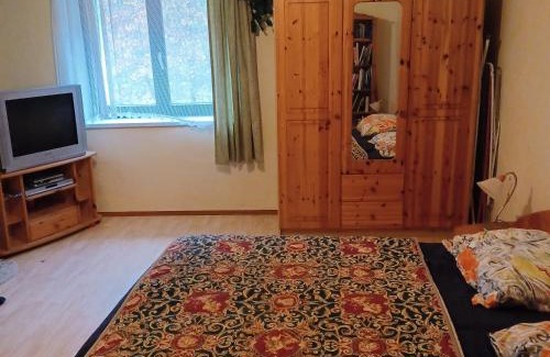 Hieflau Apartamento | Ferienhaus Benko