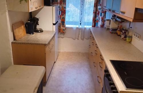 Hieflau Apartamento | Ferienhaus Benko