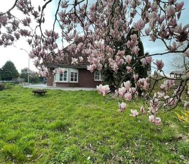 Butjadingen Casa | Ferienhaus Butjadingen - Haus Ruhwarden