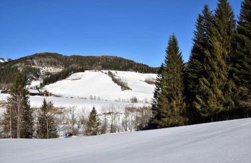 Turnau Casa | Ferienhaus Dirnbacher Hütte