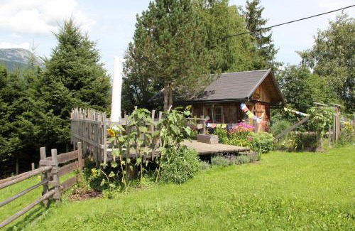 Haus im Ennstal Apartamento | Ferienhaus Ennsling