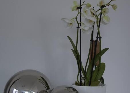 Wehr Casa | Ferienhaus Esten's Eifelheimat Wehr Eifel