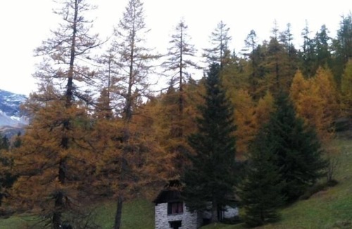Bosco Gurin Casa | Ferienhaus für 4 Gäste mit 50m² in Bosco Gurin
