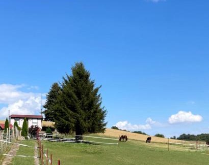Pansfelde Casa | Ferienhaus Falkenblick