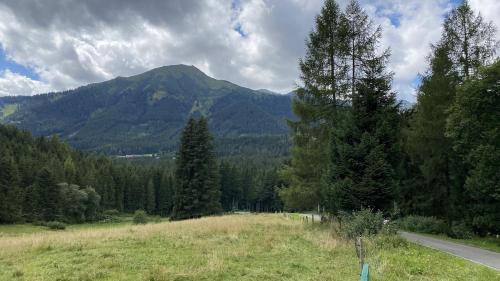 Hohentauern Casa | Ferienhaus Fuchsbau Hohentauern