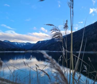 Hintersee Apartamento | Ferienhaus Gerlach