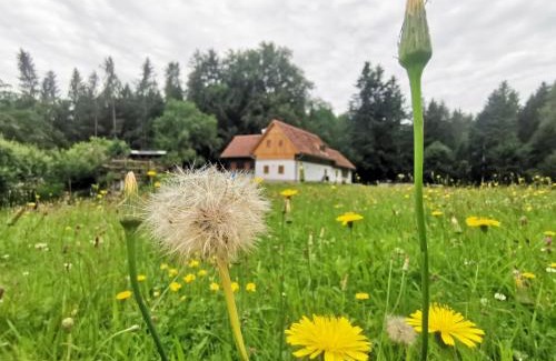 Stubenberg Casa | Ferienhaus Grabenhansl
