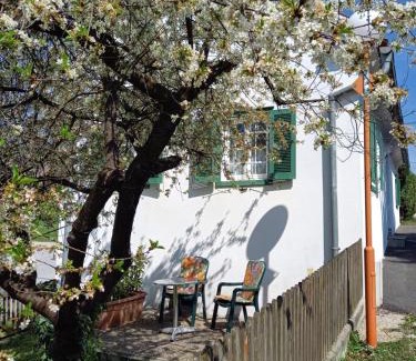 Ilz Casa | Ferienhaus im Thermenland (Loipersdorf, Blumau)