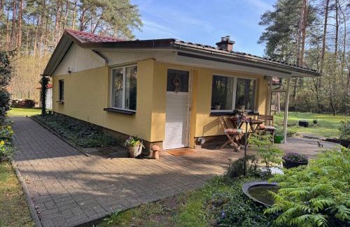 Borkwalde Casa | Ferienhaus im Wald