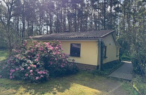 Borkwalde Casa | Ferienhaus im Wald