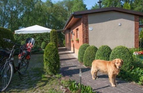 Markische Heide Casa | Ferienhaus In Alt Schadow Mit Grill Und Terrasse