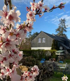 Groß Kreutz Casa | Ferienhaus Lotte Havelland