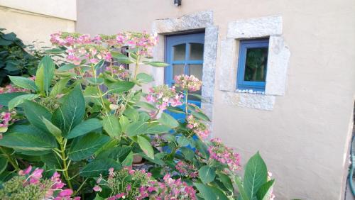 Naundorf Apartamento | Ferienhaus Nicolaus