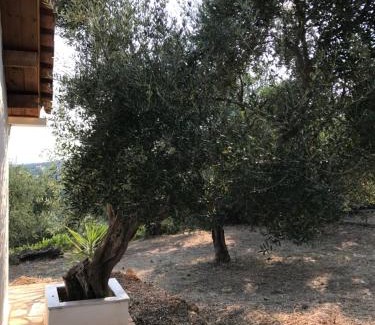 Kiparissia Casa | Ferienhaus Olive Garden