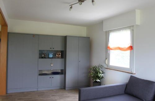 Aue Apartamento | Ferienhaus Rosental