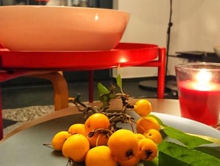 Rotha Apartamento | Ferienhaus sonnenWIND am Hainer See