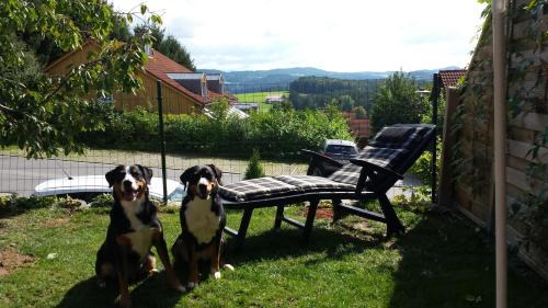 Zandt Casa | Ferienhaus Tine am Schlossberg in Zandt