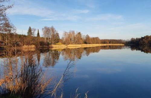 Reinharz Casa | Ferienhaus Waldblick