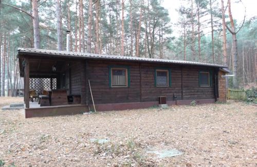 Schwielowsee Casa | Ferienhaus Waldhütte Ferch