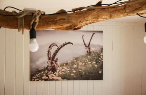 Buers Casa | Ferienhaus zum Klettersteig - Kletterwand, Abstellraum für Ski oder Bikes, Sauna, Kellerbar,