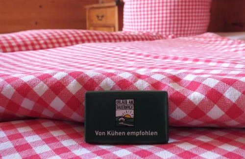 Neumarkt in Steiermark Casa | Ferienhaus "Zur alten Schmiede"