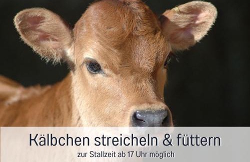 Immenstadt im Allgaeu Apartamento | Ferienhof Eger - entspannter Urlaub mit Baby & Kleinkind - wahlweise top modern oder günstige Fewos - ruhig am Ende der Straße - Kälbchen füttern - Traktor fahren - Freie Fahrt mit den Hörnerbahnen in Sommersaison - E-Ladestation - E-bike Verleih ab Hof
