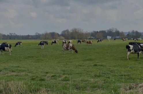 Wingst Casa | Ferienhof-Meyer