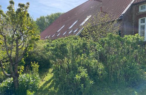 Krummhoern Apartamento | Ferienhof Spiegelhaus