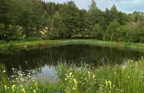 Achslach Casa | Ferienidylle Brunnersäge