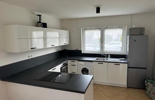 Worms Casa | Ferienunterkunft Lutherbaum 4 Zimmer