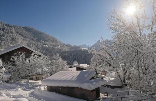 Sankt Anton im Montafon Apartamento | Ferienwohnung Ulrike