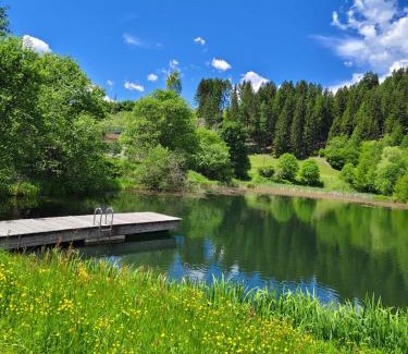 Neumarkt in Steiermark Apartamento | Ferienwohnung Familie Pichler