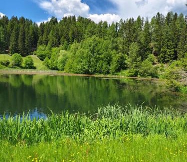 Neumarkt in Steiermark Apartamento | Ferienwohnung Familie Pichler