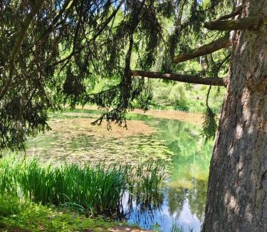 Neumarkt in Steiermark Apartamento | Ferienwohnung Familie Pichler