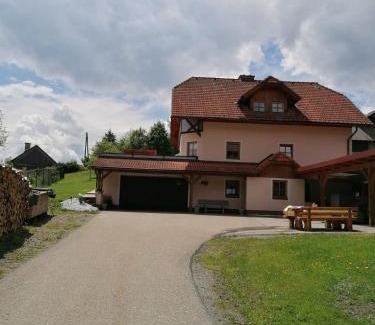 Neumarkt in Steiermark Apartamento | Ferienwohnung Familie Pichler