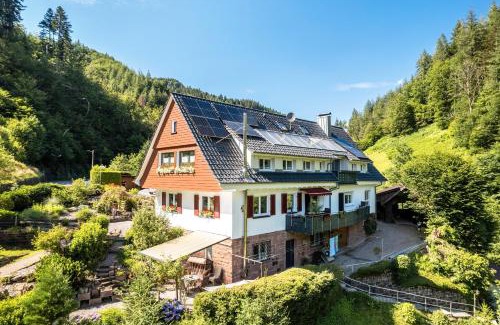 Oppenau Apartamento | Ferienwohnung 3