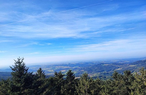 Sankt Englmar Apartamento | Ferienwohnung 56qm mit Balkon und Blick in die Natur