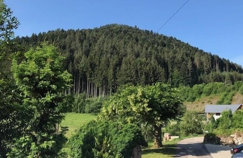 Hornberg Apartamento | Apartamento, 80 m², 2 dormitorios, 1 sala de estar, máx. 4 personas