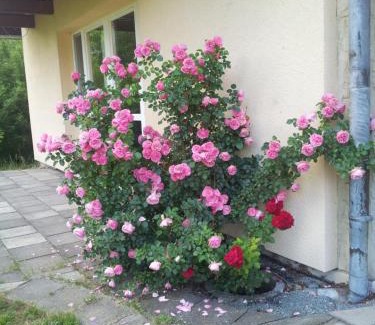 Neusalza-Spremberg Cama Y Desayuno | Ferienwohnung am Spreeradweg