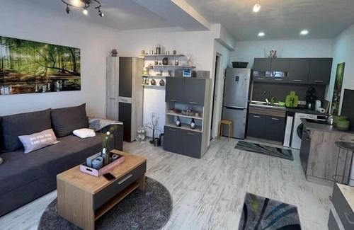 Sfantu Gheorghe Apartamento | Ferienwohnung/app. für 2 Gäste mit 26m² in Sfântu Gheorghe